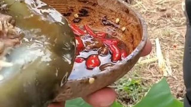 户外焖甲鱼 #麻辣甲鱼#户外美食#农村美食#家的味道 #乡村味道