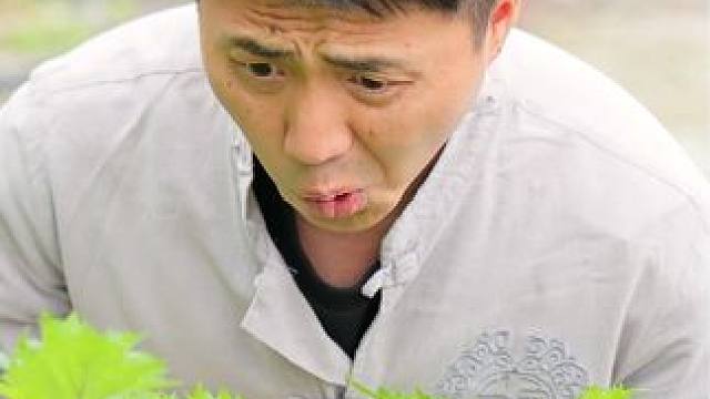 二毛也太傻了，活麻不扎人都信，不过春天的活麻真的香 #我的乡村生活