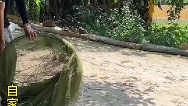 #爱生活爱钓鱼  #钓鱼人 #户外