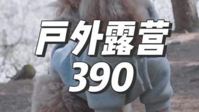 #露营漫时光 #户外露营 #已经开始期待去露营 #助眠 #一个人的露营时光