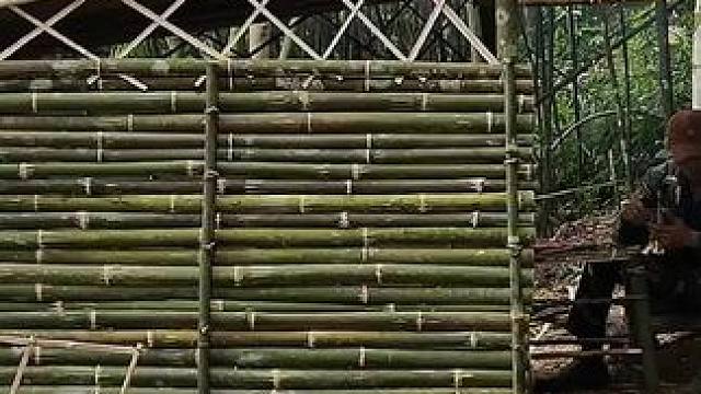 建造竹船庇护所 #荒野建造 #野外建造 #庇护所