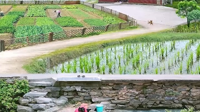 有这样的地方吗？