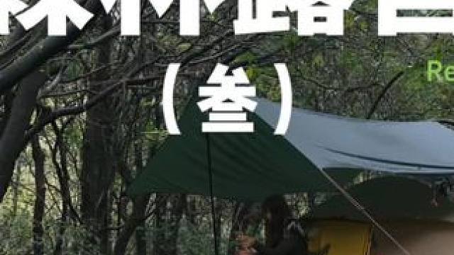 森林露营（叁）
 #露营 #森林露营 #助眠 #户外露营 #上热门