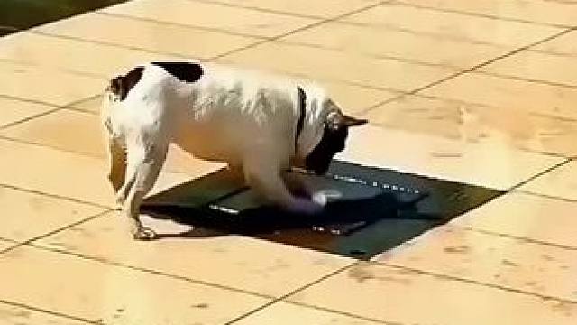 #我的观影报告 #万万没想到 #看一遍笑一遍 #意想不到的结局 #这谁顶得住啊