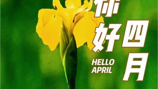 #感受大自然的气息和美景 #总有一朵花属于你的春天 #生活处处是风景 #你若盛开蝴蝶自来 #祝大家天