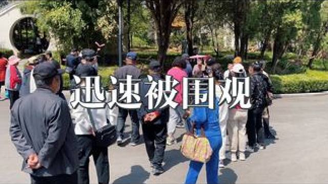 #樱花树下的约定 音乐一起，十秒钟迅速被围观#大连旅游攻略 #劳动公园 #小杨哥