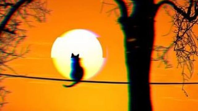 能不能帮我看看我身边有没有小狗鬼啊