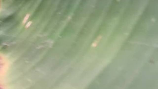 农村生活 #农村美食