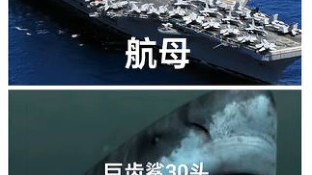 巨齿鲨三十头VS航母