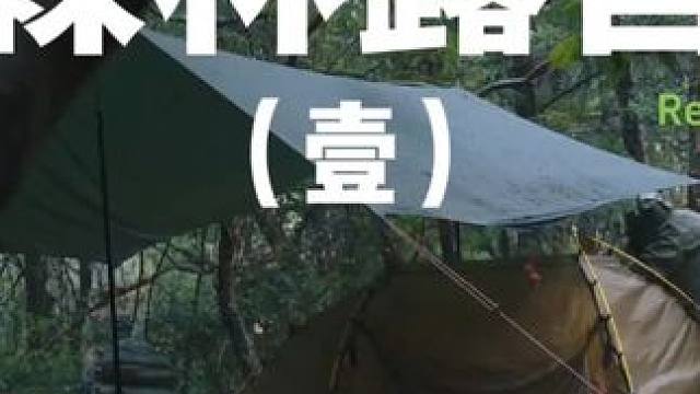 森林露营（壹）
 #露营 #森林露营 #助眠 #户外露营 #上热门