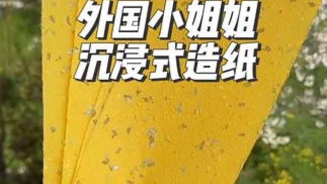 外国小姐姐回收废纸制成新的纸张，是黄色主题#解压 #diy #极度舒适 #沉浸式 #变废为宝