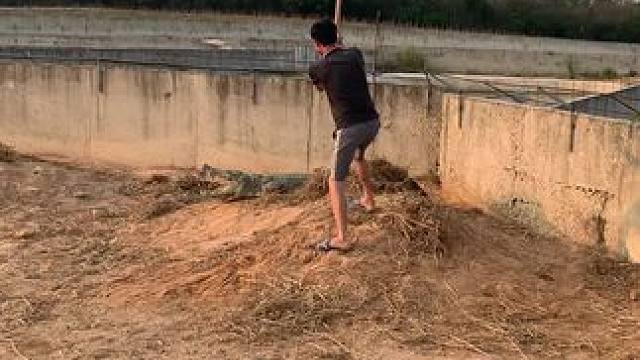 一铲子下去让你脑瓜嗡嗡的