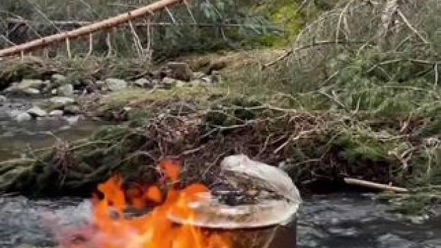 焖烤苦肠#露营报告 #户外美食