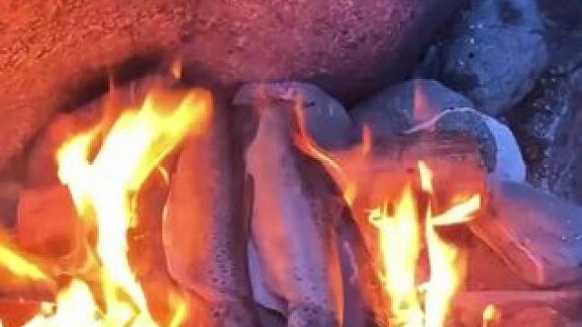 露营石板烤鱼#露营报告 #露营美食报告