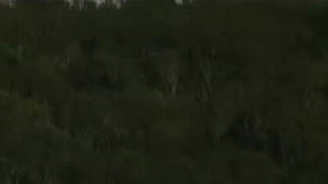 #哥斯拉 真人衍生剧集《#帝王计划：神秘组织与怪兽之谜》官宣续订第二季！