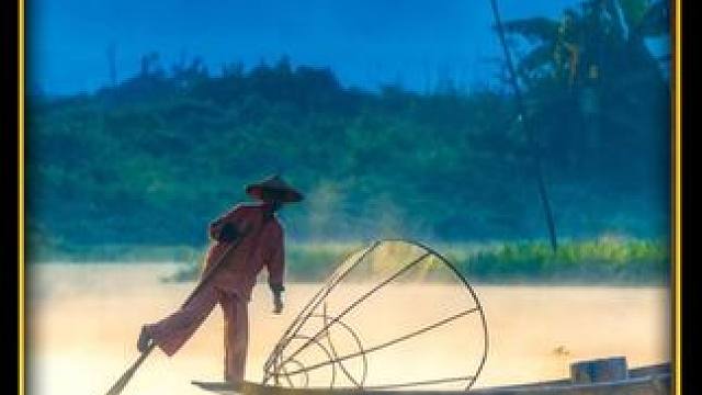 国外的下水道里永远都会给你不一样的惊喜 #户外捕鱼 #野外探险 #抓鱼