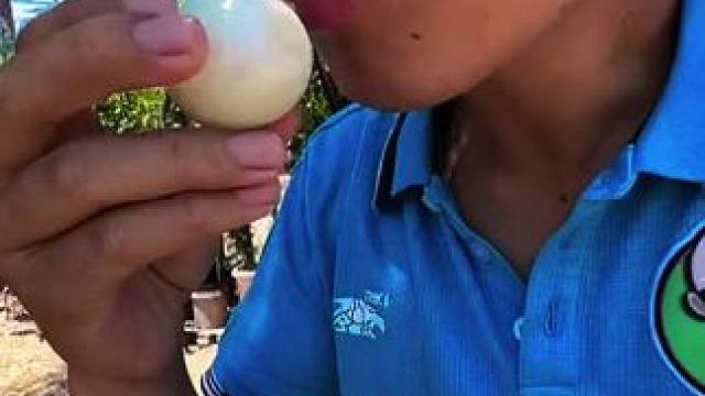 绿化带看了都要发抖