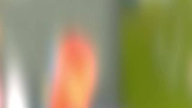 机器人不走我就一穿四了 #高能英雄 #光子十五周年庆