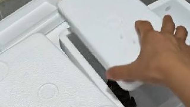 小鳄鱼苗 打包#支持全国发货 #爬宠