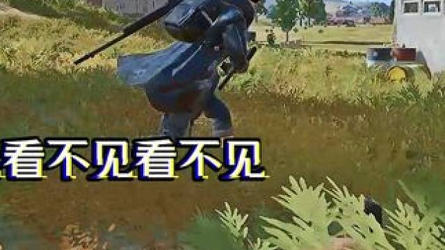 你们都是怎么骗队友的