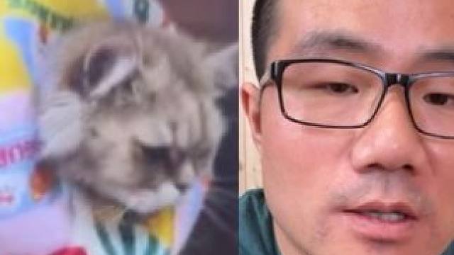 徐静雨：破猫再次受重伤！太软了！净坑钱！没我就完了！#萌宠 #篮球 #徐静雨 #搞笑 #猫咪