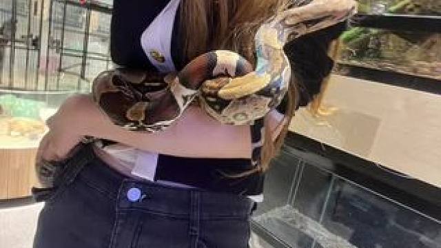 #爬宠 #异宠 #蛇 #蜥蜴 #拍照