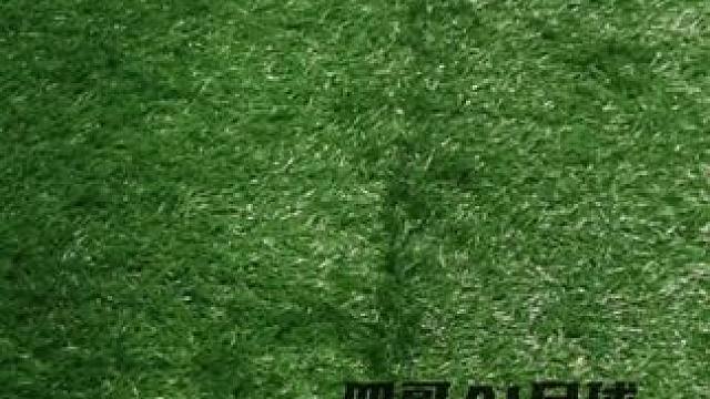 #唯有足球不可辜负 #dou来足球季 #足球鞋 #足球 #好鞋推荐