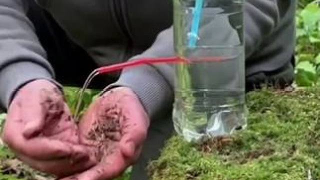 户外洗手小装置，有请物理学家解释#露营报告 #露营技巧报告