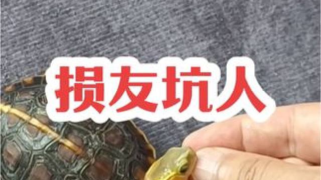 你朋友送过你什么奇怪的东西？
#南昌 ##乌龟