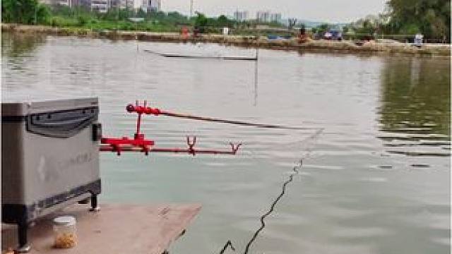 自从买了刺鱼器从来没有上过岸。#钓鱼 #钓鱼人 #钓鱼人就是这么疯狂 #