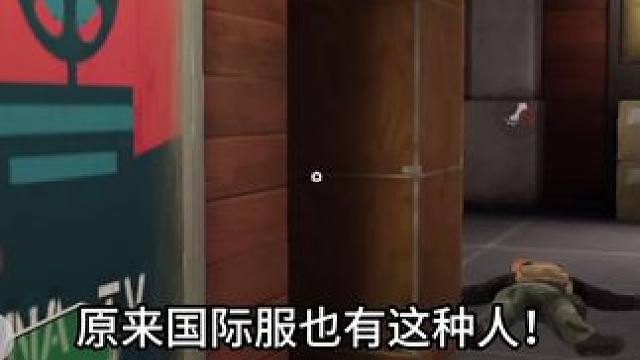 《原来国际服也有这种人》
