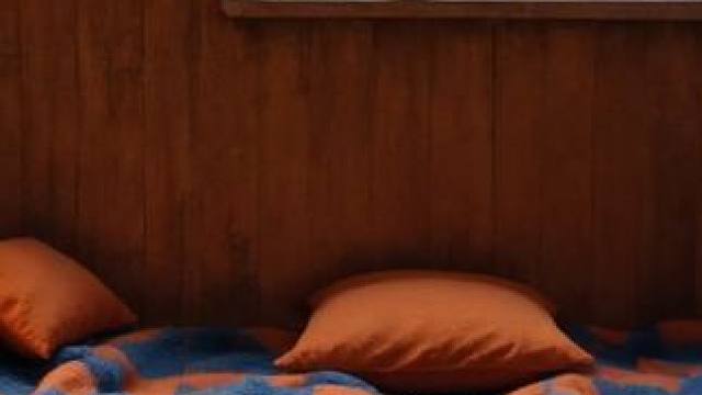 暴风雪夜，被困在一个舒适的小屋里，聆听着风雪，放松入睡 #白噪音 #助眠声音 #睡眠音乐 #催眠疗愈