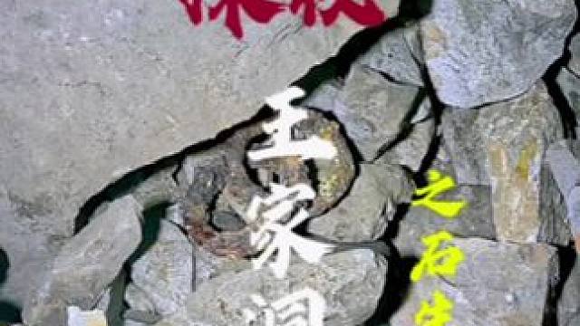 你见过洞穴石生魔芋花吗？王家几十人到底在洞穴里面遭遇了什么？#神秘探险#洞穴探险#马帮主 #极限运动