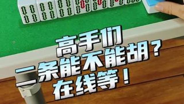 二条能不能胡啊？#富豪麻将 #麻将麻将抖起来 #麻将攻略 #小麻将解心宽