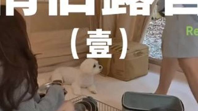 情侣露营（壹）
带着宝子和狗子去露营是最快乐的事情~
 #露营 #情侣 #助眠 #户外露营 #上热门