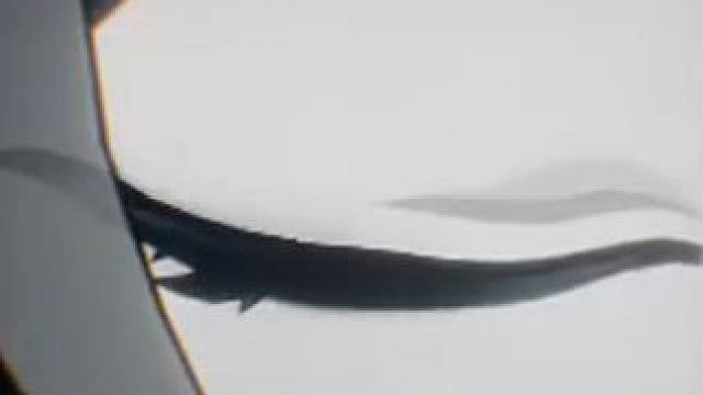 虚无者也有挥刀的理由 #崩坏星穹铁道  #崩坏星穹铁道创作者激励计划  #狂热奔向深渊