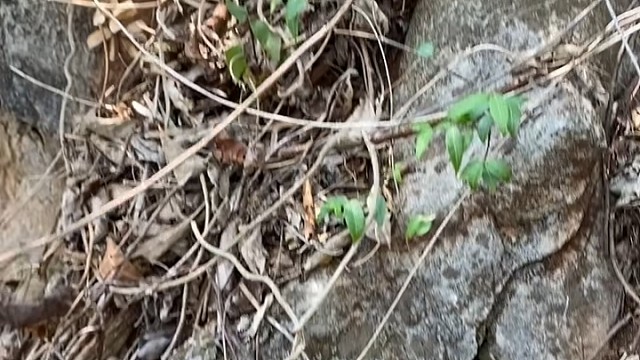 其实你已经开始了新的生活
我尝试着学习洒脱