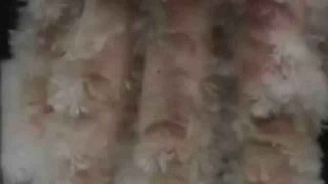 这不是魔术，这是真实的科学小实验#科学小实验 #趣味实验 #物理实验 #家庭小实验 #生活小实验 