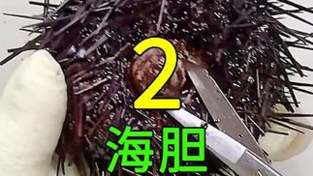 <第2/3集>海胆的秘密，出海捕捞，一人一天数百斤#纪录片充电计划 