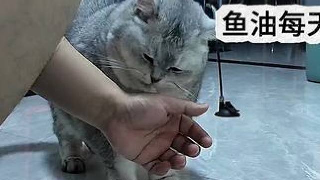 今天竟然这么晚才回房睡觉！ 