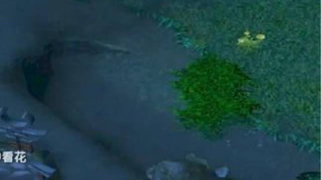 （二）大熊臻享版，中单霸道沉默