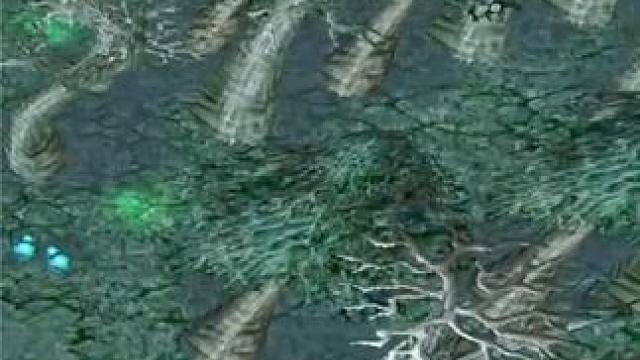 （三）中单红杖死灵法师