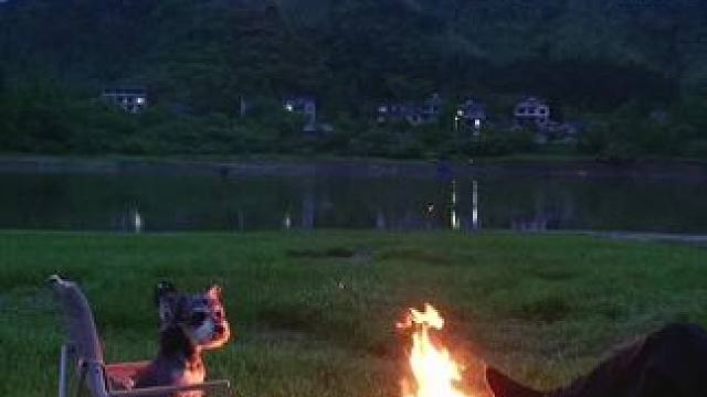 其实人这一辈子没有那么多人真的在乎你 #远离城市的喧嚣 #自由是灵魂的氧气 #这个五一去享受自然吧