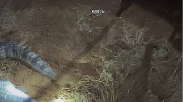 玩的就是心跳加速的感觉#危险动作请勿模仿