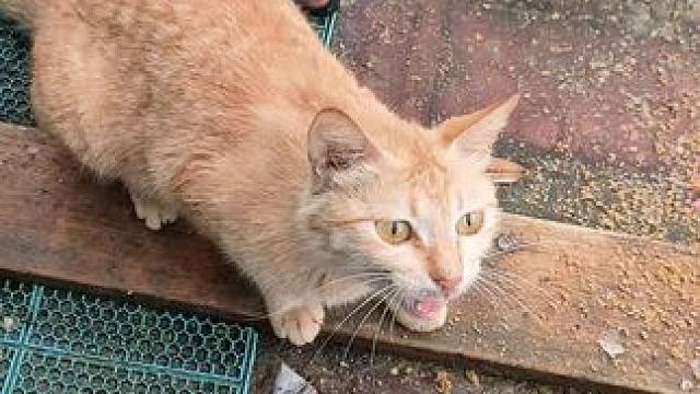 我发布了一个新视频，快来围观吧！