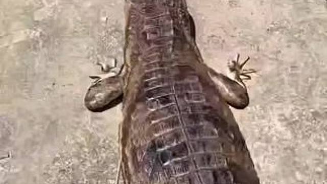 大晚上的清醒清醒
#万万没想到 #意不意外 #意想不到的结局 #探险 #惊魂一刻