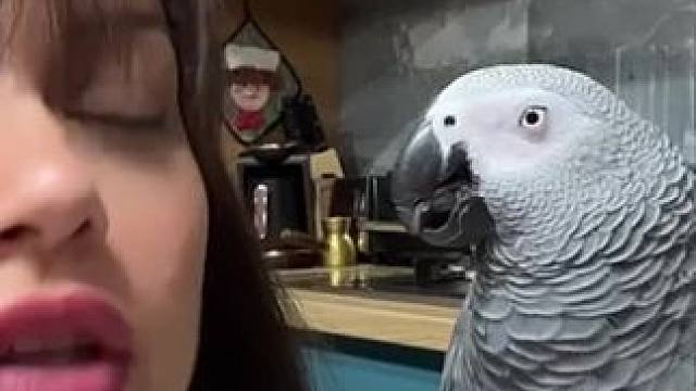 #分享国外有趣的视频 #海外视频 #国外视频分享