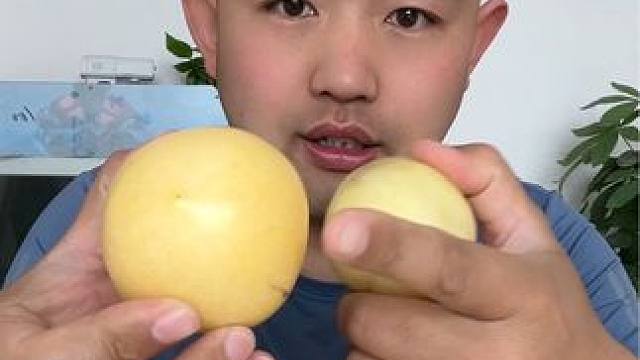 #人参果 #揭秘 #试吃