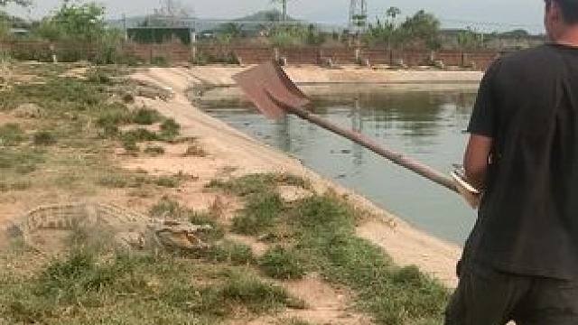 脑震荡都要被打出来#危险动作请勿模仿 #好大一条鱼