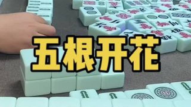 清一色五根开花！#乐山幺鸡麻将 #小麻将解心宽 #打麻将 #jj麻将